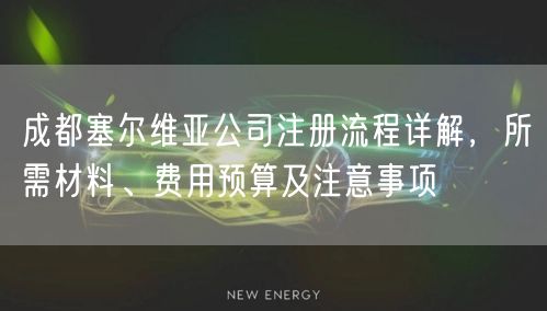 成都塞尔维亚公司注册流程详解，所需材料、费用预算及注意事项