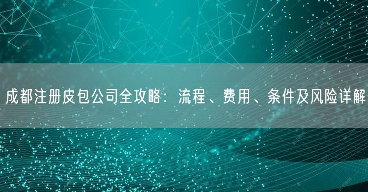 成都注册皮包公司全攻略：流程、费用、条件及风险详解