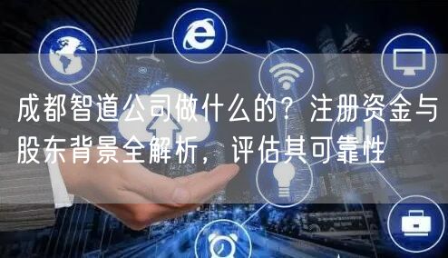 成都智道公司做什么的？注册资金与股东背景全解析，评估其可靠性