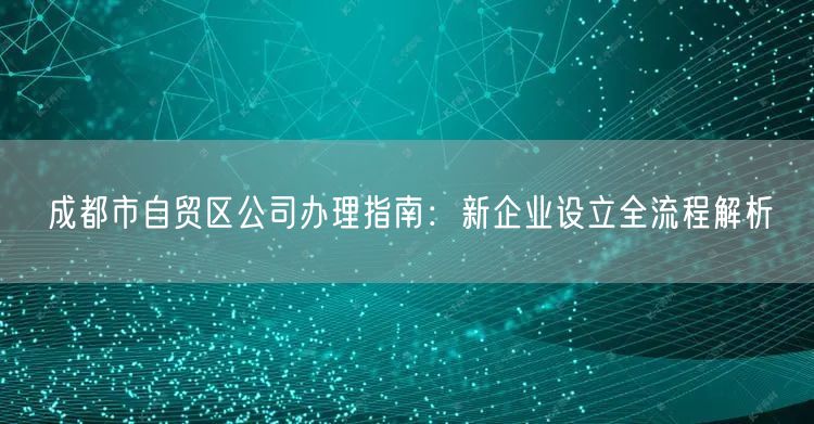 成都市自贸区公司办理指南：新企业设立全流程解析