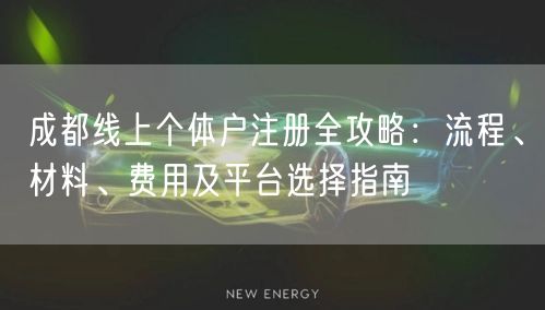 成都线上个体户注册全攻略：流程、材料、费用及平台选择指南