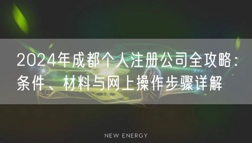 2024年成都个人注册公司全攻略：条件、材料与网上操作步骤详解
