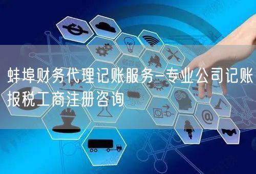 蚌埠财务代理记账服务-专业公司记账报税工商注册咨询